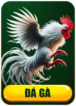 Đá gà Lu88